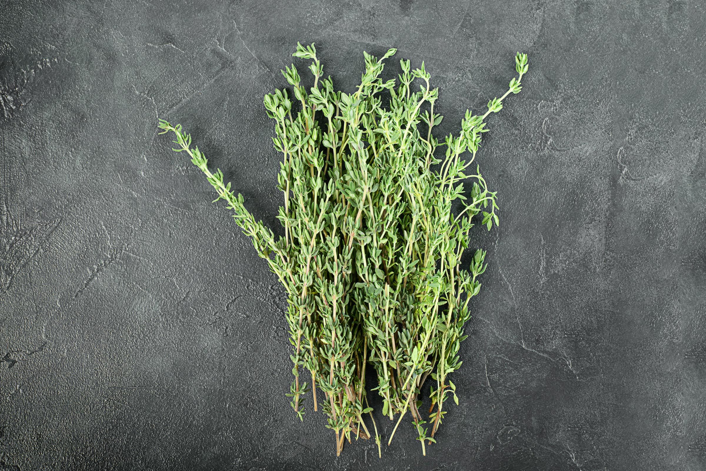 bunch of thyme on stone background