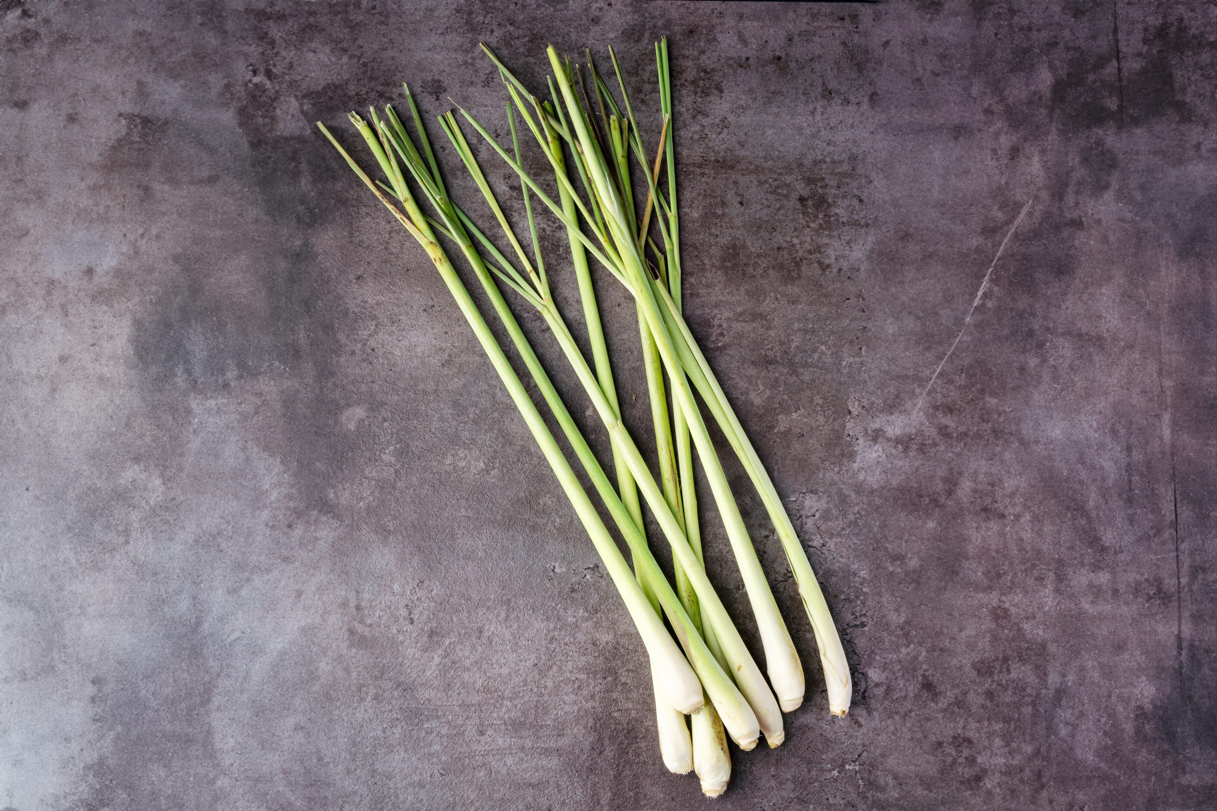 lemongrass on stone background