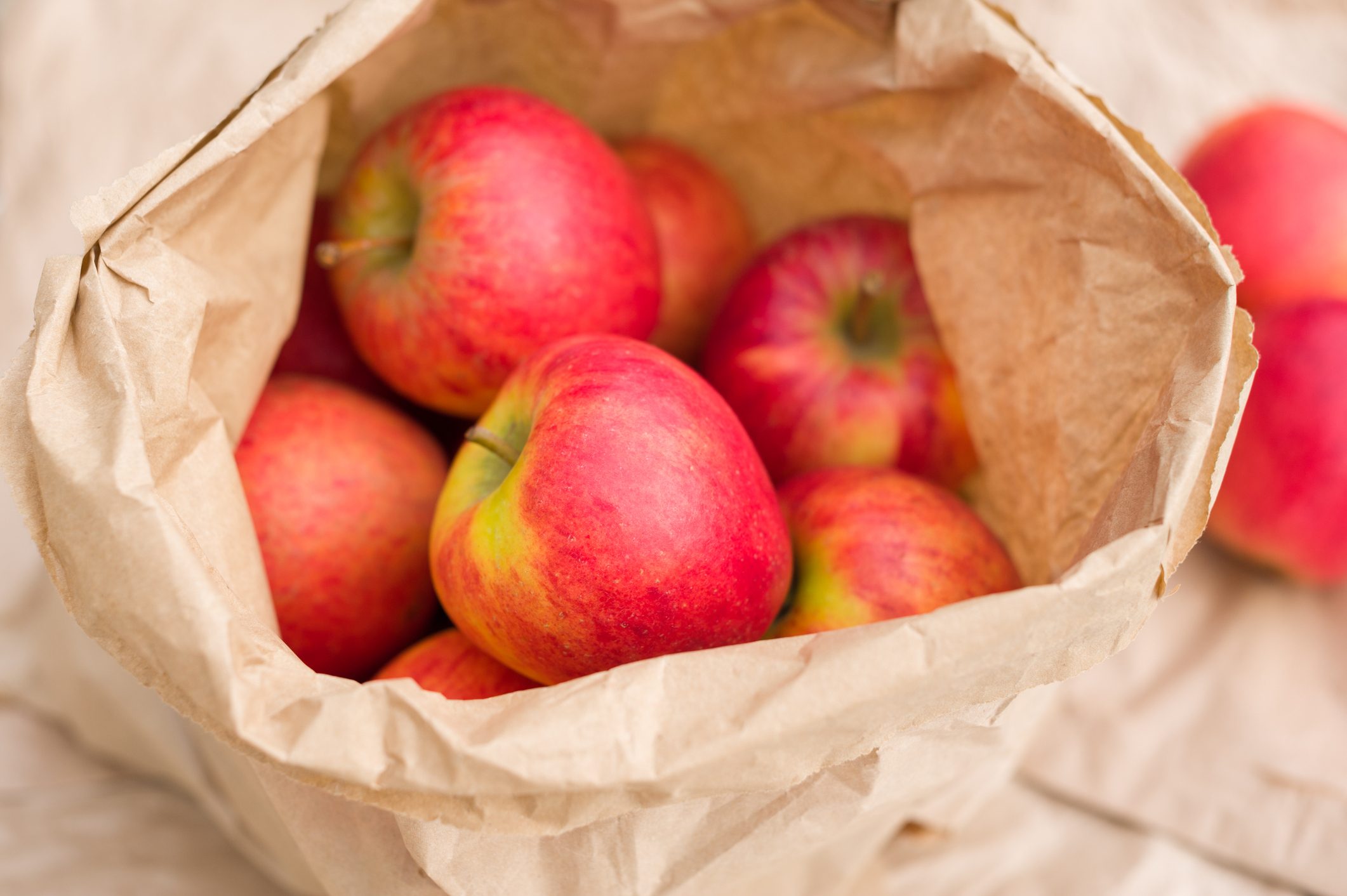 Red Rubens apples in brown paper bag