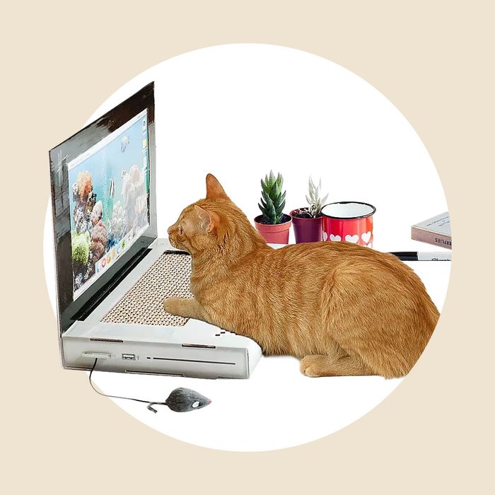 Laptop Cat Scratching Pad