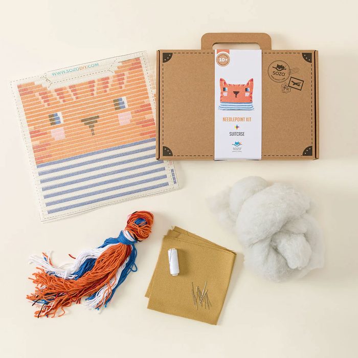 One Crafty Cat Diy Needlepoint Pillow Kit