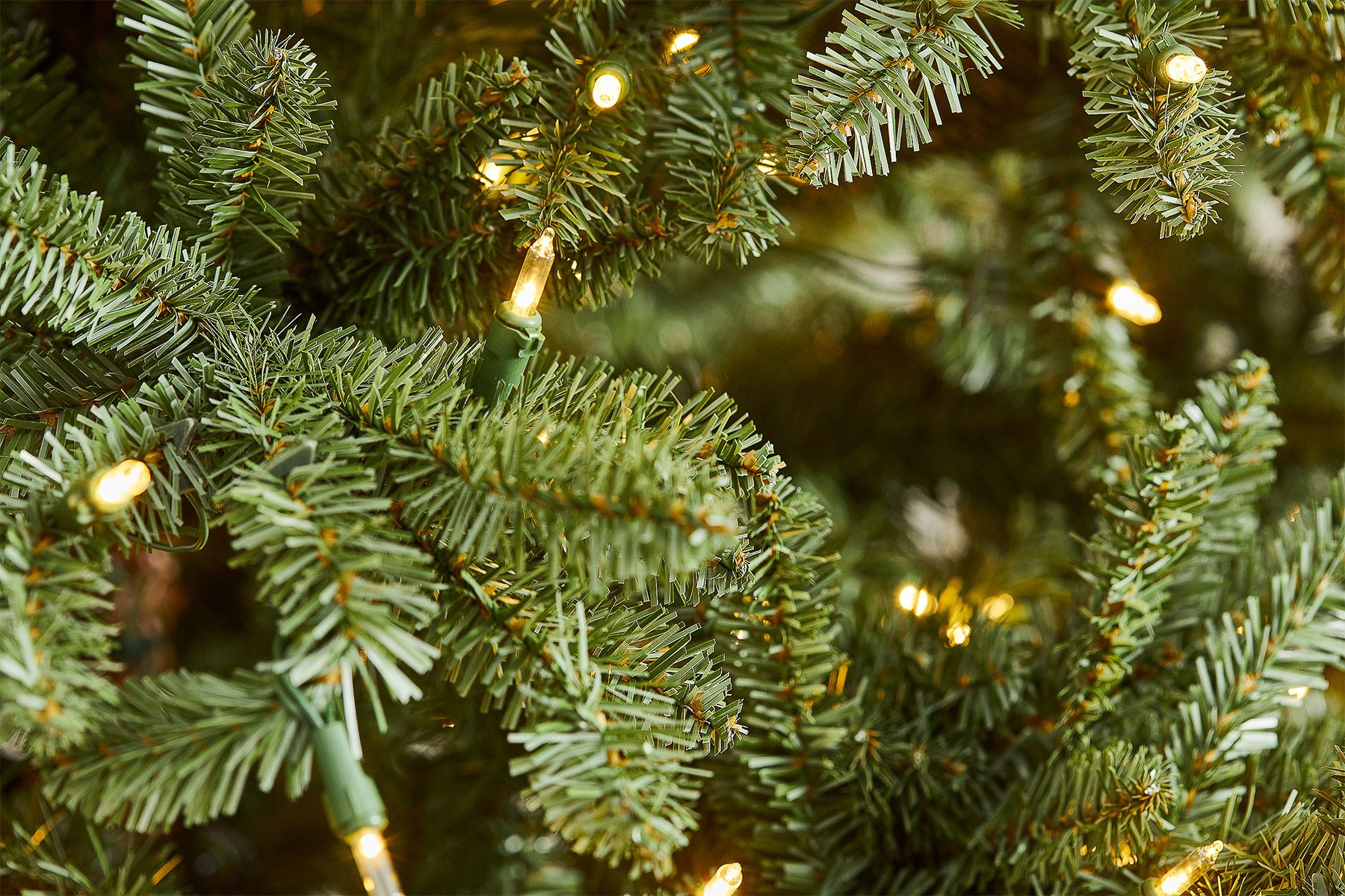 Balsam Hill Classic Blue Spruce Tree Closeup