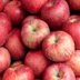 How to Pick the Best Apples at the Orchard or Grocery Store
