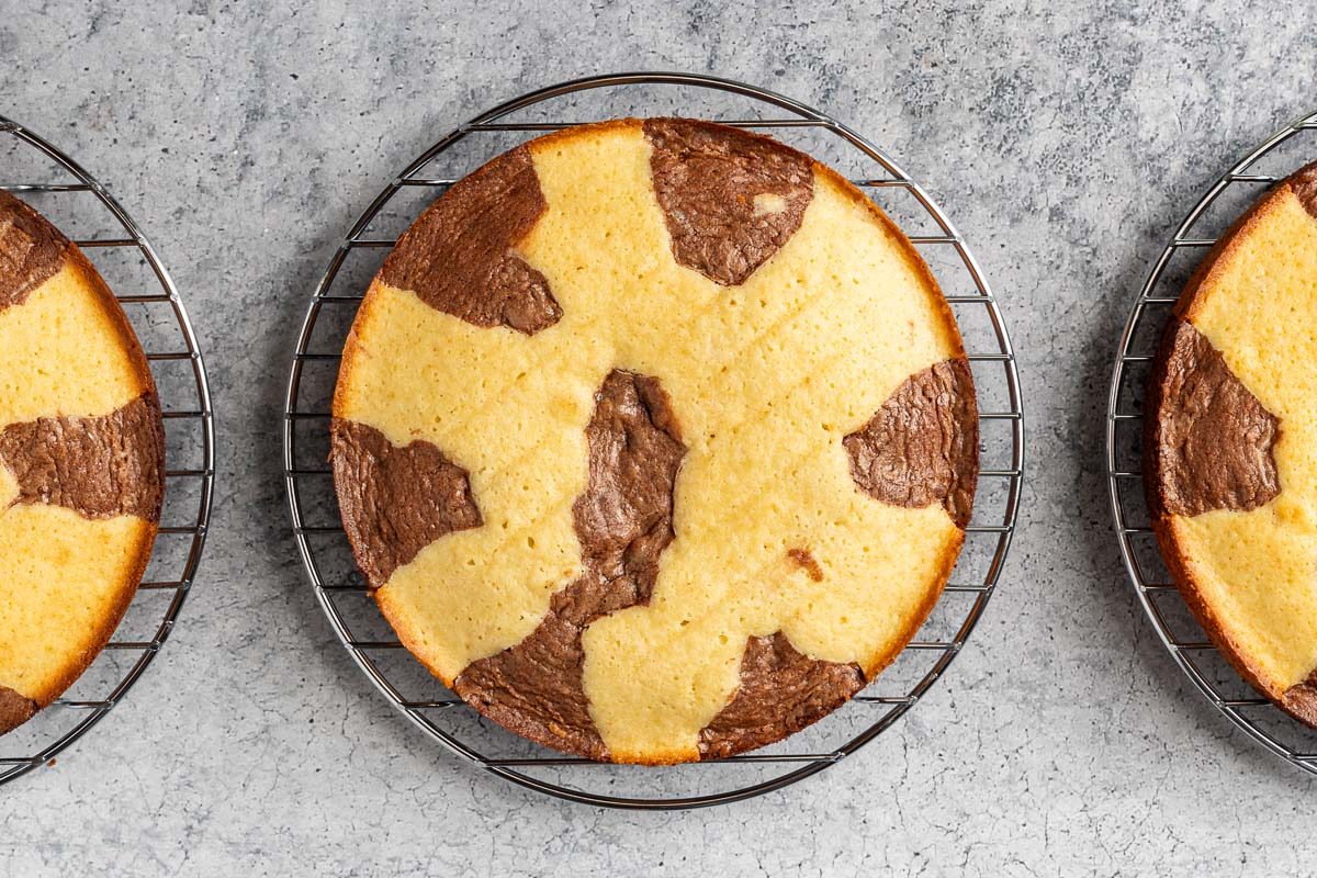 Taste of Home Marble Cake photo of the baked layers.