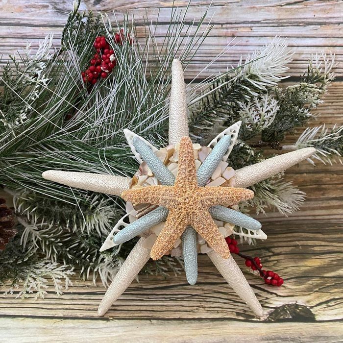 Beach Decor Tropical Coastal Starfish