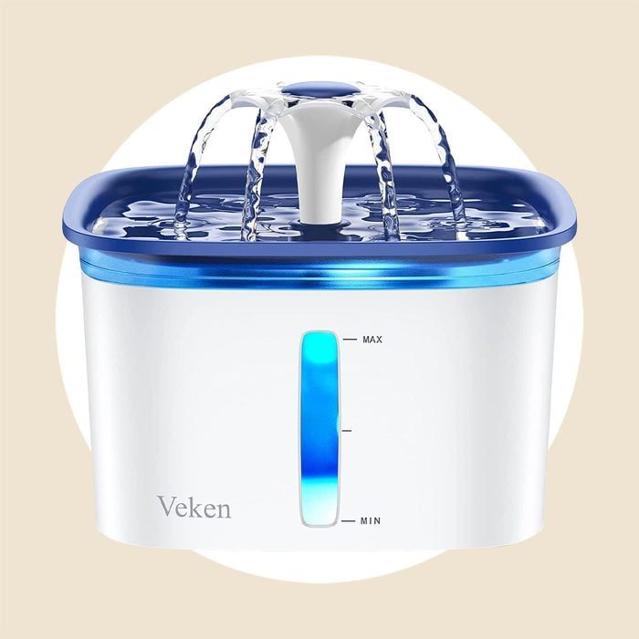 Toh Ecomm Pet Water Fountain Via Amazon.com 