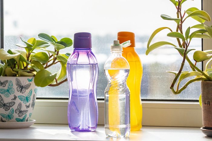 Three plastic polypropylene colored reusable bottles with clean drinking water stand on a window sill next to green plants in pots