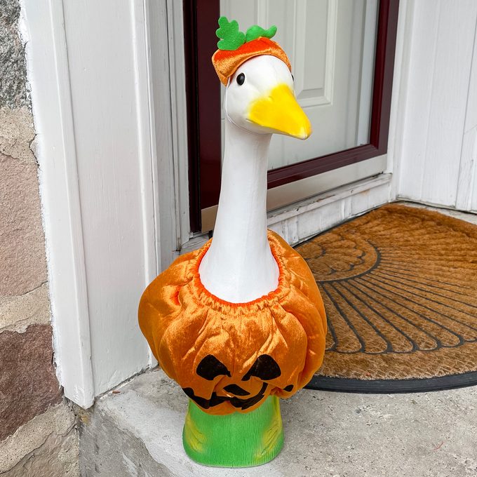 Porch Goose