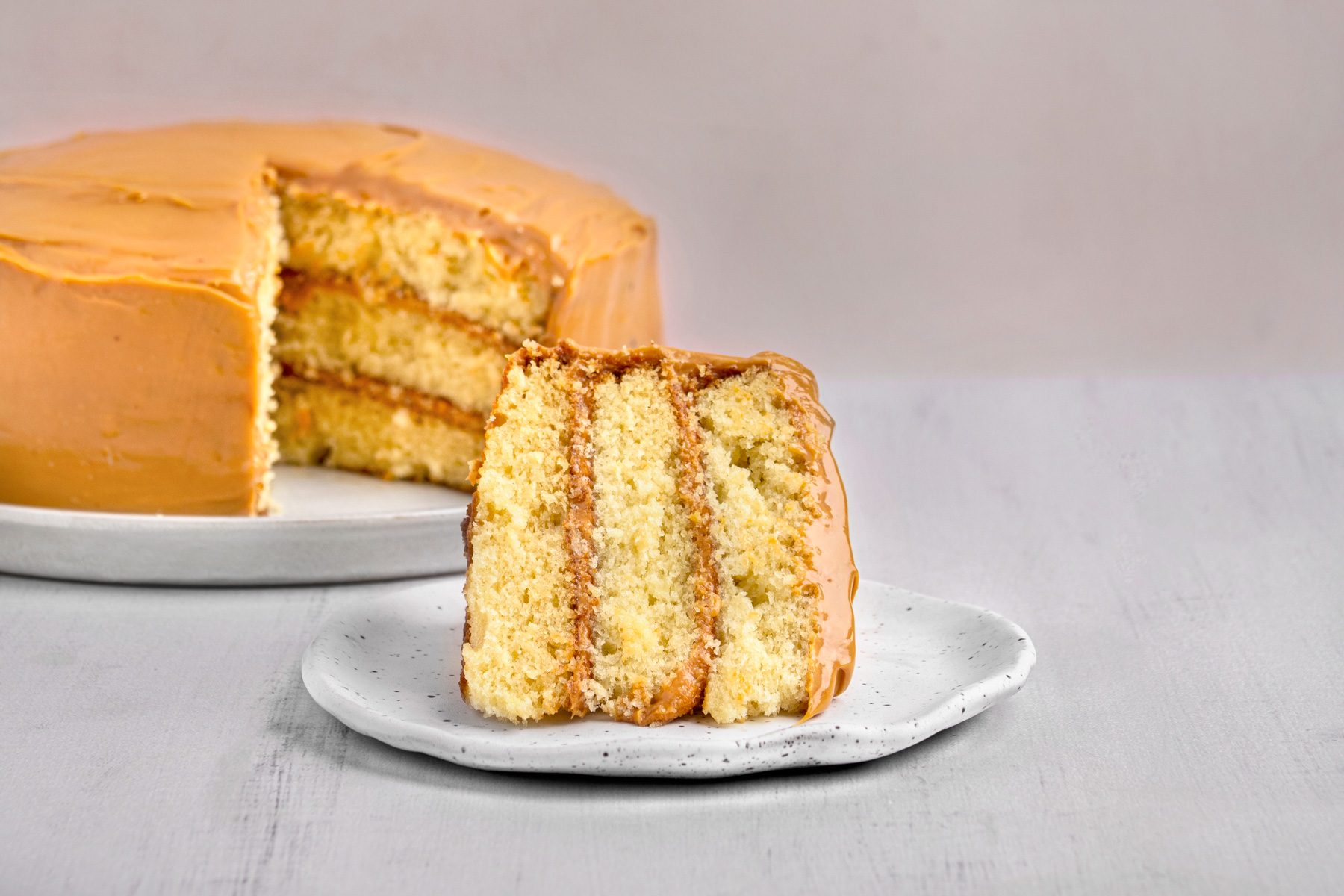 closeup shot of Dulce de Leche Cake, a slice of the cake has been cut and plated, the dessert is presented on a simple, speckled white plate, set against a light colored background