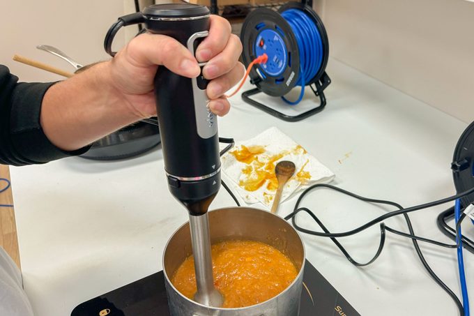 Ninja Immersion Blender Review Soup Test