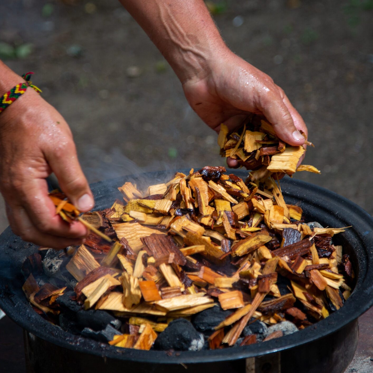 Adding soaked wood chips to the burning charcoal For Smoking Meat On Barbecue.