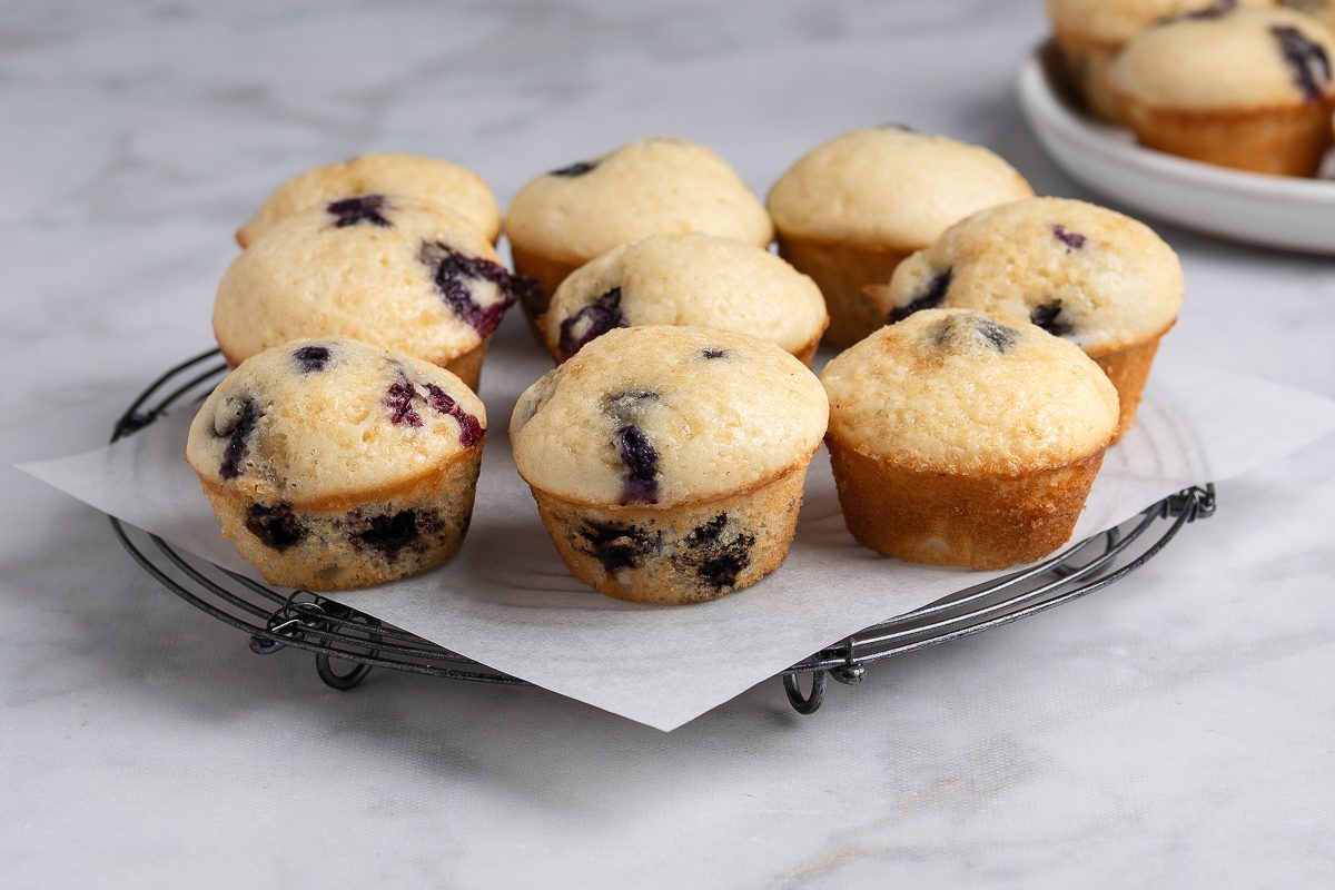 Mini Blueberry Muffins