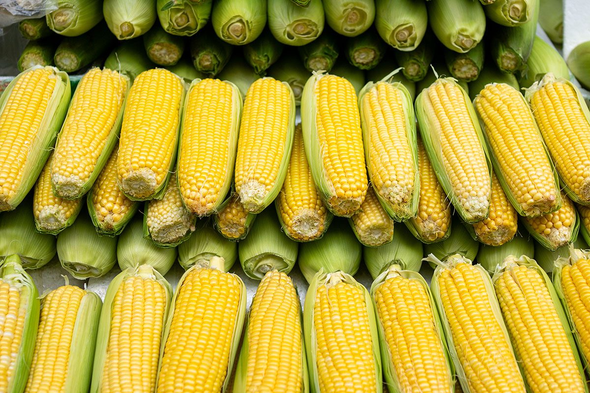 This Is Why Corn on the Cob Only Ever Has an Even Number of Rows