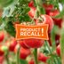 Tomato Recall: Vine Ripe Tomatoes Recalled in 14 States Because of Salmonella Risk