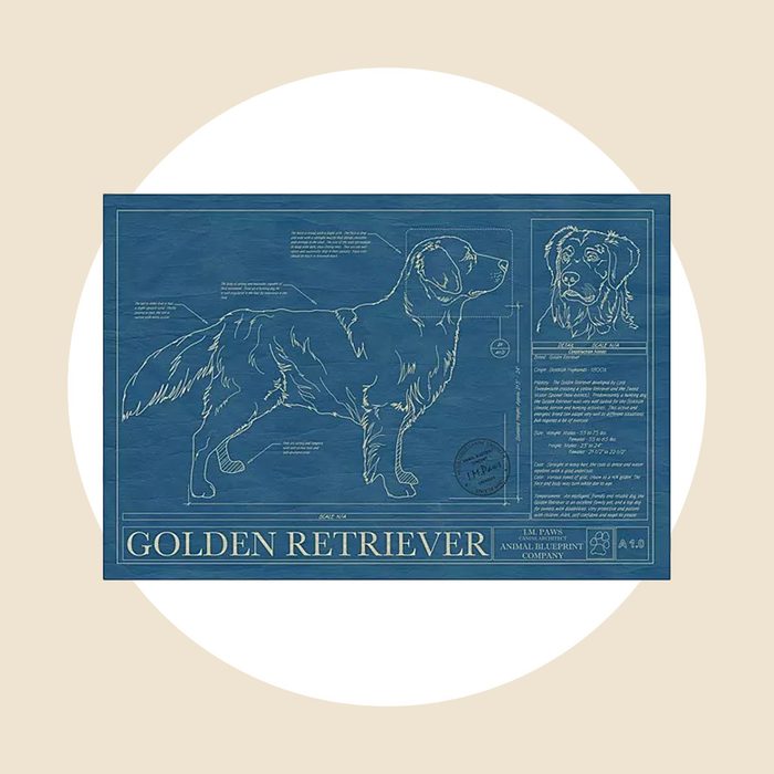 Dog Blue Print Art