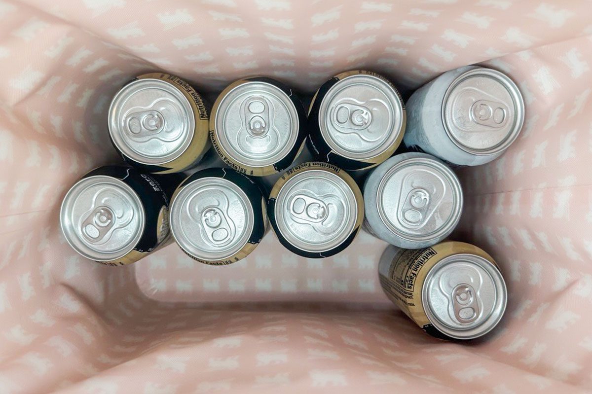 We Tried A Stanley Cooler Capacity