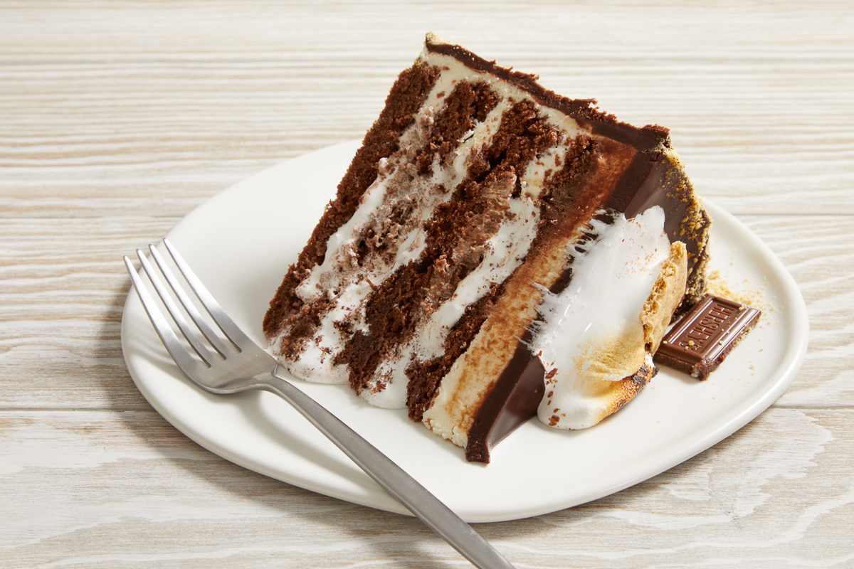 S’mores Cake slice