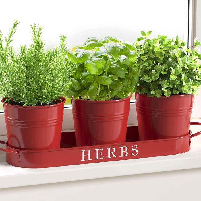 The Best Amazon Prime Day Deals On Small Kitchen Appliances  Indoor Herb Garden Planter Via Amazon