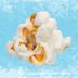 I Tried Freezing Popcorn to See If It Really Tastes Better