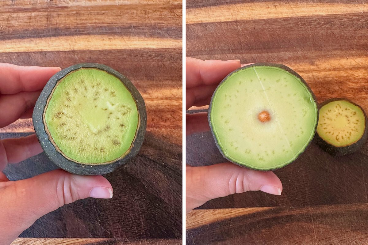 sliced avocado