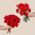 These LEGO Bouquet Bundles Are Perfect for Valentine's Day
