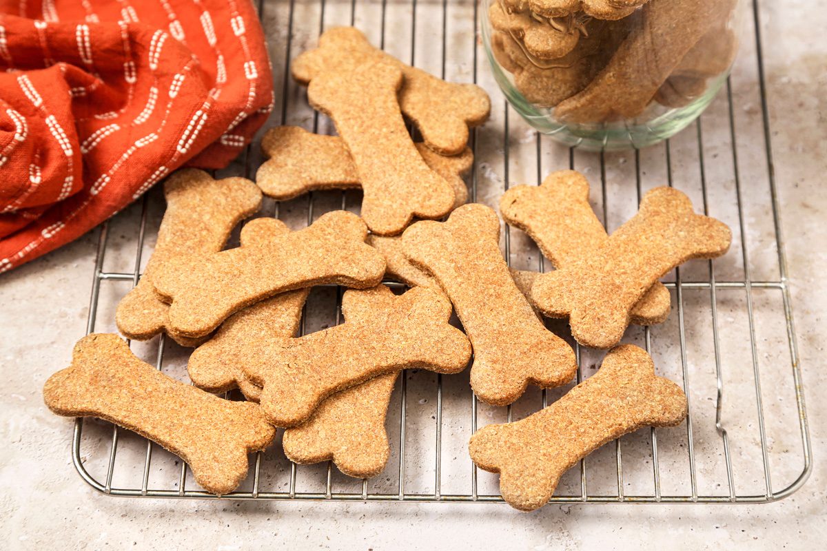 12 Homemade Dog Treat Recipes