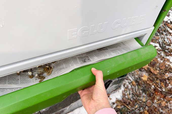 Toha25 Eglu Cube Lara Eucalano 08 Ssedit